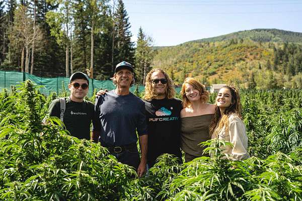 pot zero colorado organic cannabis farm blog