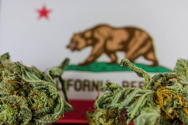 california hemp cannabis marketing billboard blog