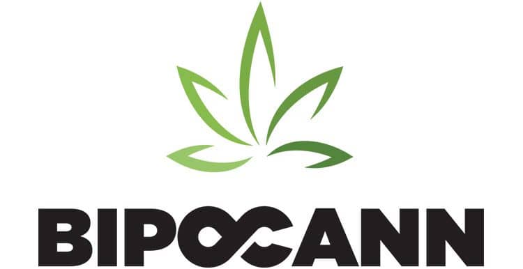 pufcreativ partners bipocann logo